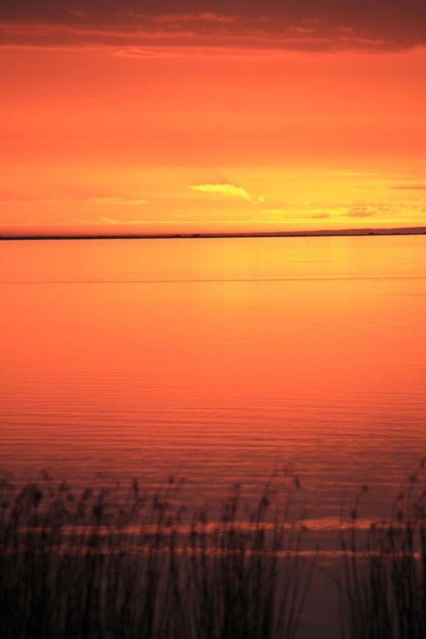 Lake Albert Motel Meningie Экстерьер фото